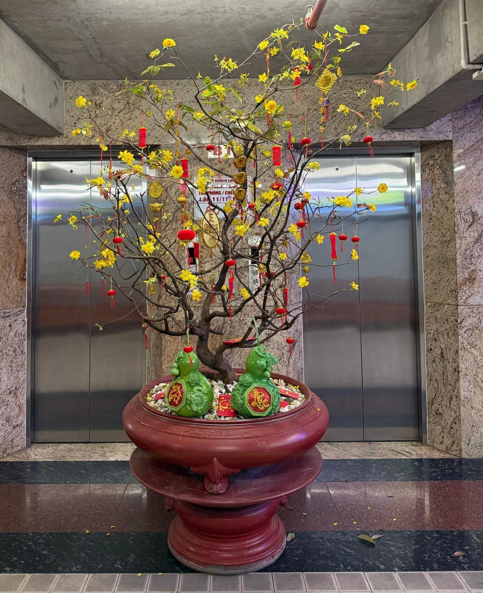Thien Tai Hotel Ho Chi Minh-byen Eksteriør bilde